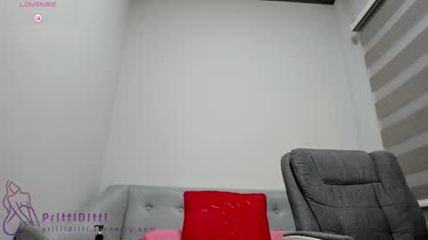 Snapshot of prittiditti chatting on 02/14/25, 10:14 PrittiDitti online show from 02/14/25, 10:14