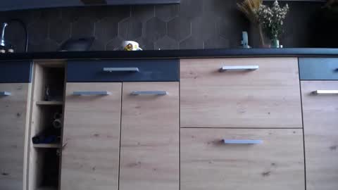 Space online show from 10/03/25, 06:43