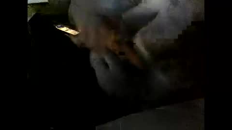 Clothingoptional online show from 12/02/25, 06:03