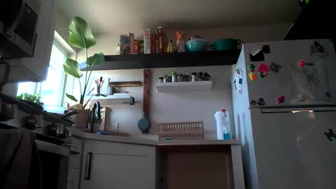 Snapshot of properfuct chatting on 11/03/25, 08:43 Properfuct online show from 11/03/25, 08:43