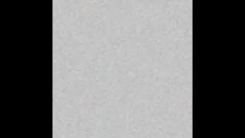 prostatepete online show from 02/01/26, 11:36