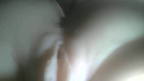 Snapshot of protecbuzz chatting on 02/03/26, 12:42 needtocum online show from 02/03/26, 12:42