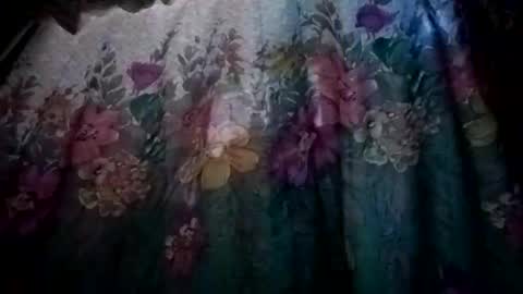 Snapshot of prvive2025 chatting on 10/05/25, 07:34 prvive2025 online show from 10/05/25, 07:34