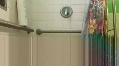 Snapshot of prvive2025 chatting on 11/02/25, 02:52 prvive2025 online show from 11/02/25, 02:52