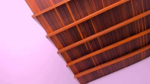 Snapshot of pscis_69 chatting on 12/16/24, 08:52 Mara online show from 12/16/24, 08:52