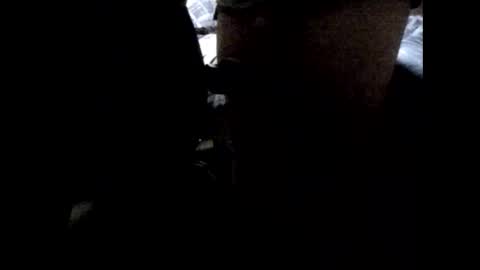 StefiTV1 online show from 04/03/26, 03:04