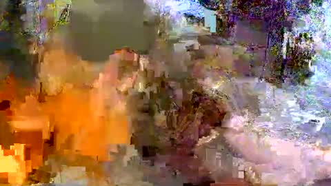 puchainaaaa online show from 06/04/26, 10:43