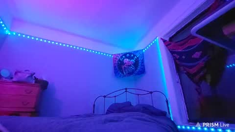 puddled_wonderland online show from 01/29/25, 05:40