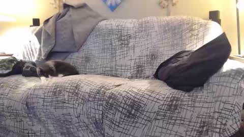 puff0169 online show from 02/12/26, 07:25