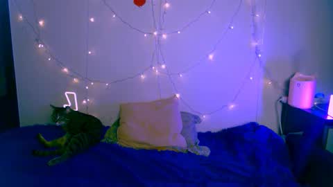 EsteticHouse online show from 01/24/25, 05:53