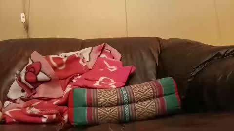 pulepower online show from 11/02/25, 08:17