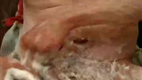 pulepower online show from 11/23/25, 09:09