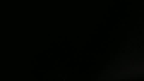 pumpkin3000 online show from 05/02/26, 07:24