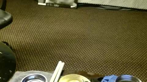 Jojo online show from 11/23/25, 06:46