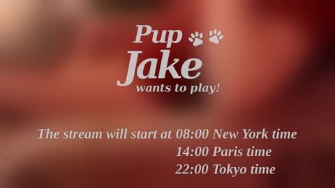 Pup Jake wants to play online show from 12/25/24, 12:05