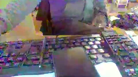 pup_y online show from 12/16/25, 10:53