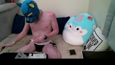 Pup Orion online show from 12/19/24, 12:34