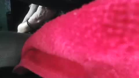 Puppah626  Phoenyx 39s Room online show from 01/01/25, 05:00