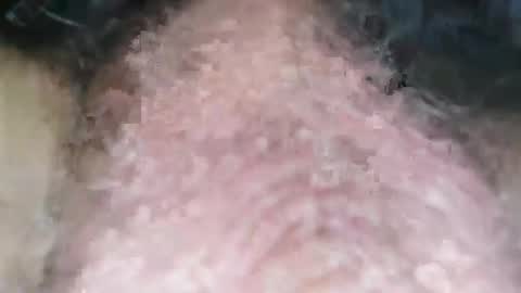 Puppah626  Phoenyx 39s Room online show from 01/01/25, 08:04