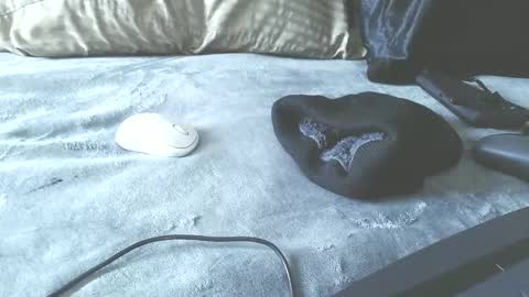 Puppah626  Phoenyx 39s Room online show from 01/17/25, 06:44