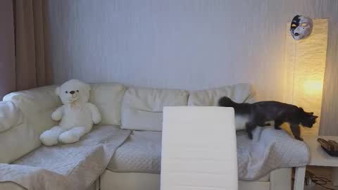 Jesse online show from 10/23/25, 05:40