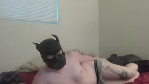 Snapshot of puptav chatting on 03/05/26, 01:01 puptav online show from 03/05/26, 01:01