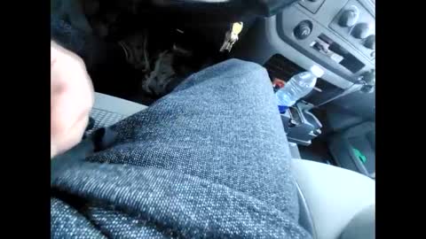 Snapshot of purdyguy7777 chatting on 12/31/24, 06:13 purdyguy7777 online show from 12/31/24, 06:13