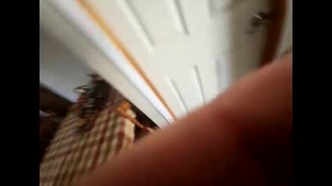 Snapshot of purdyguy7777 chatting on 02/05/25, 05:53 purdyguy7777 online show from 02/05/25, 05:53