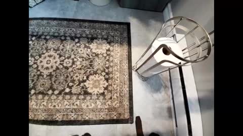 Snapshot of purdyguy7777 chatting on 02/14/25, 05:46 purdyguy7777 online show from 02/14/25, 05:46