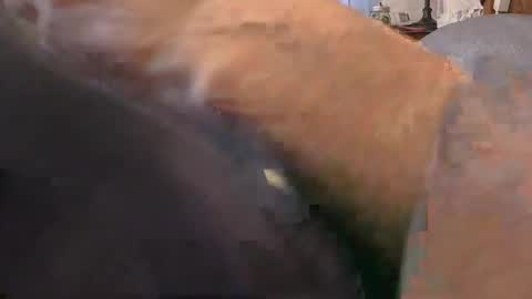 purdyguy7777 online show from 02/24/26, 02:15