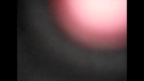 Snapshot of pureblood84 chatting on 01/11/26, 12:32 Bart online show from 01/11/26, 12:32