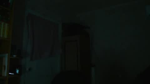 Snapshot of pusaprada chatting on 11/26/25, 04:08 pusaprada online show from 11/26/25, 04:08