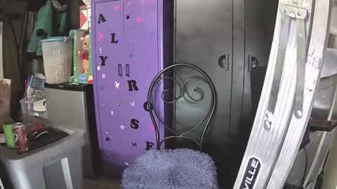 Mark online show from 12/07/24, 10:23