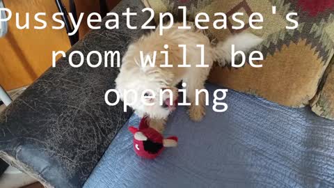 Snapshot of pussyeat2please chatting on 02/08/25, 10:29 Rick online show from 02/08/25, 10:29