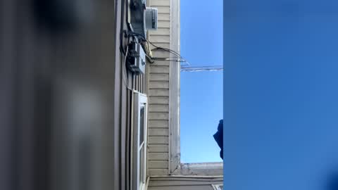 pyrex8 online show from 02/10/26, 02:32