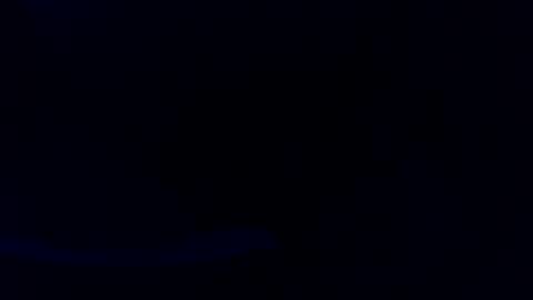 Snapshot of pyrichar31 chatting on 07/16/26, 03:01 pyrichar31 online show from 07/16/26, 03:01