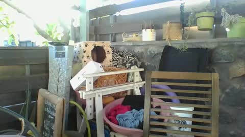 Snapshot of python974 chatting on 01/02/25, 02:33 Python online show from 01/02/25, 02:33