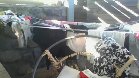 Snapshot of python974 chatting on 01/10/25, 02:57 Python online show from 01/10/25, 02:57