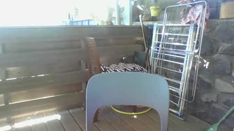 Python online show from 04/06/26, 04:46