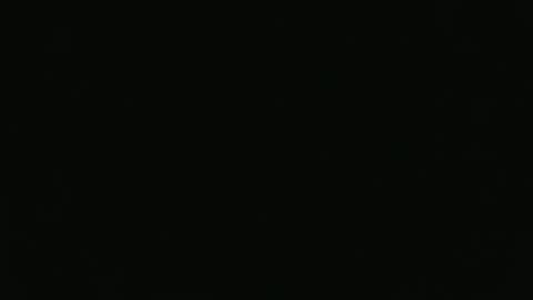 Snapshot of pytongru70 chatting on 12/29/24, 08:22 pytongru70 online show from 12/29/24, 08:22