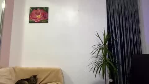 Snapshot of queen_chatur chatting on 01/28/25, 12:32 Viktoria online show from 01/28/25, 12:32