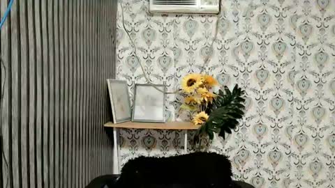 JOY online show from 02/20/25, 06:02