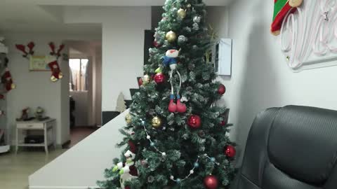  Zafiro  ILL BROADCAST UNTIL DECEMBER  Onlyfans  online show from 11/17/25, 12:33