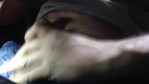 Snapshot of quickienerd chatting on 12/16/24, 11:28 oilypanda online show from 12/16/24, 11:28