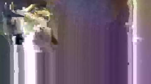 r04233054 online show from 01/10/26, 08:16