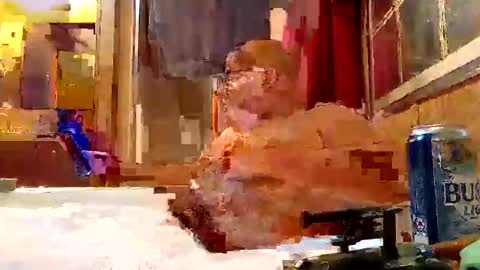 rabidsquirrell online show from 02/05/25, 12:53
