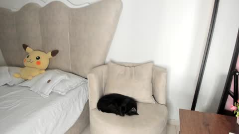 Snapshot of rachaeldeckard chatting on 12/17/24, 08:12 natalia - online show from 12/17/24, 08:12