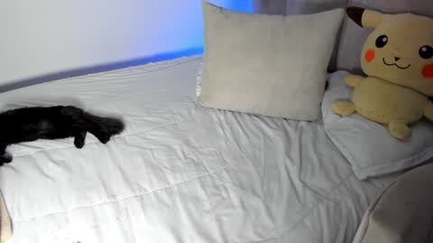 Snapshot of rachaeldeckard chatting on 01/28/25, 09:30 natalia - online show from 01/28/25, 09:30