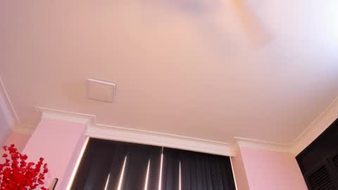 Snapshot of rachel_mendoza chatting on 12/23/24, 03:01 Rachel online show from 12/23/24, 03:01