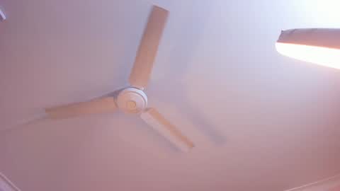 Snapshot of rachel_mendoza chatting on 01/03/25, 11:14 Rachel online show from 01/03/25, 11:14